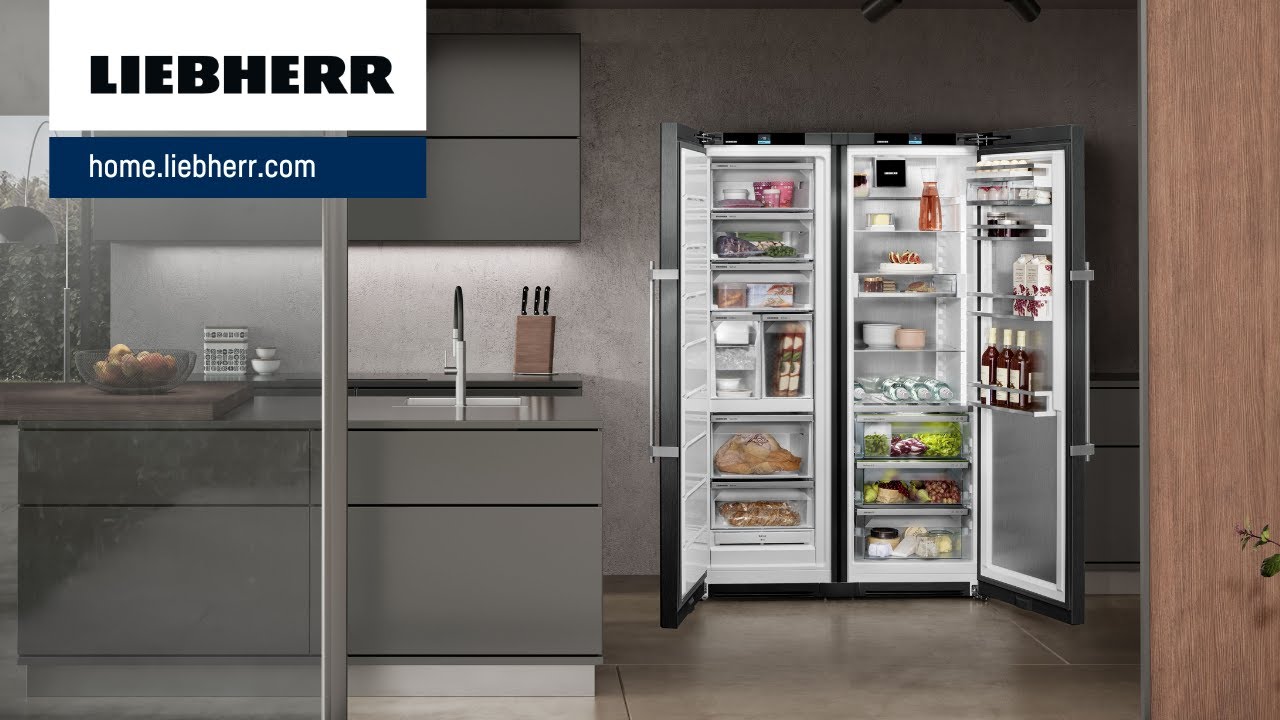 Liebherr Kühlschrank RBsfe 5220 Plus | VS Elektro