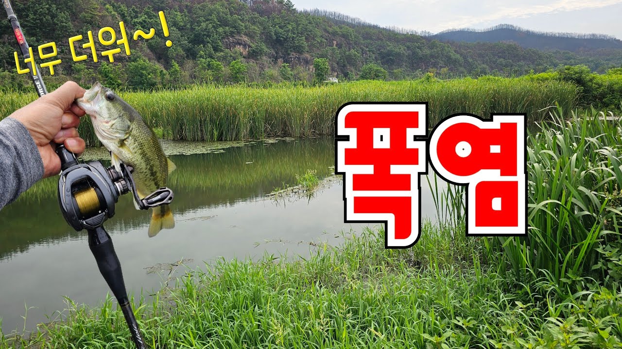 장마가 지나간 뒤에 예민해진 배스 공략 너무 더워~