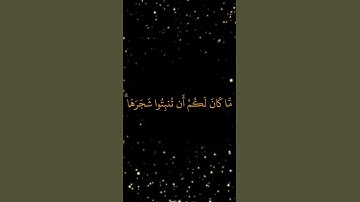 تلاوة #خاشعة بصوت الشيخ #ياسر_الدوسري من سورة #النمل #المصحف #صلوا_على_النبي #اكسبلور #اطمئن #لايك