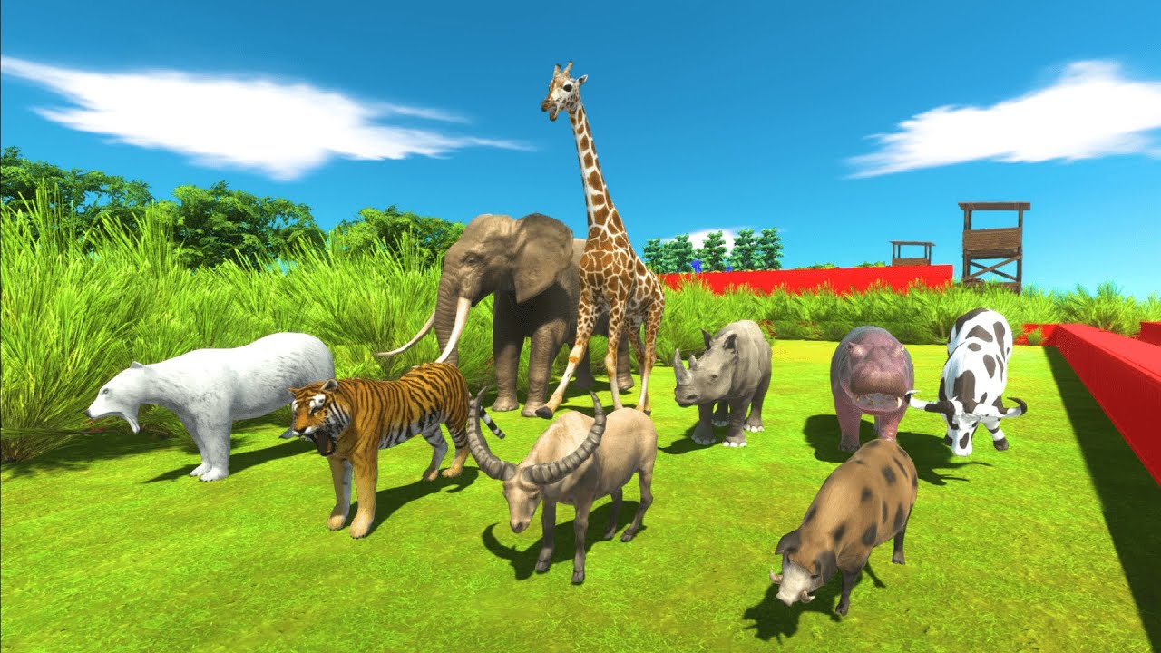 どうぶつたちがレースでかけっこきょうそうだ！動物レースでどうぶつをおぼえよう！😄　子供向けどうぶつ動画