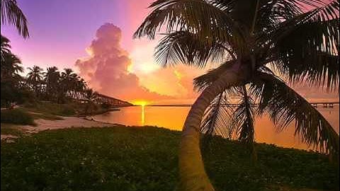 Nipsey Hussle  / Late Nights and Early Mornings