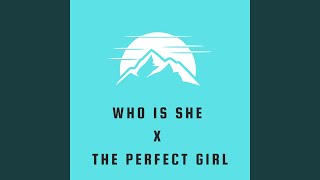 Who Is She x The Perfect Girl (Remix)