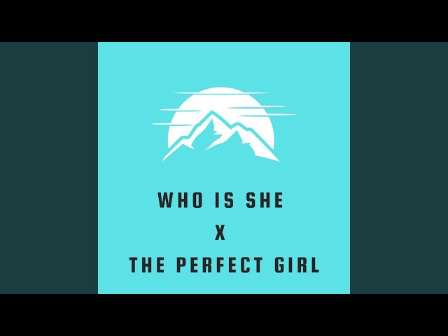 Who Is She x The Perfect Girl (Remix) class=