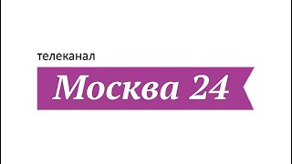 В.Л. Шаповалов, Д.Л. Горин. Москва24. Авиакомпания Georgian Airways открыла авиасообщение с Грузией