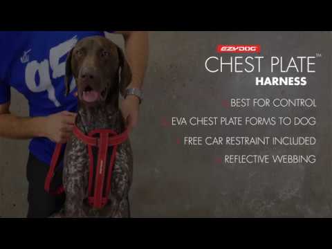 Ezy Dog Harness Size Chart