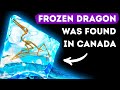 'Frozen Dragon' Species Was Trapped in Ice for 76 Mln Years