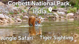 Best tiger safari in jim corbett national park | Safari in jim corbett national park in india |