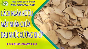 Cách ngâm rượu cây mật nhân chữa đau nhức xương khớp