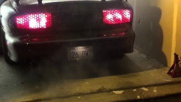 Tick Performance SNS stage 3 cam