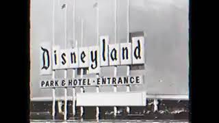 mickey mouse exe