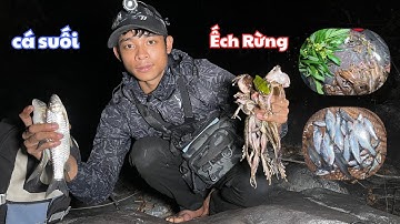 Quá Nhiều Bầy Ếch Rừng Trong Khe Suối Nhỏ Sau Ngày Nắng | Chuyến Đi Câu Cá Suối May Mắn