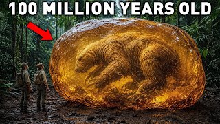 They Found an Impossible Extinct Creature Trapped in Amber in the Amazon Jungle