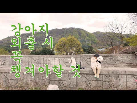 강아지 외출용품! 해충방지 & 진드기 퇴치 스프레이 만들기 How to make puppy pest spray