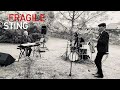 FRAGILE de STING - JAM for JOY
