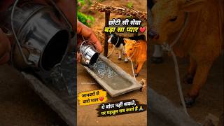 जानवरों की सेवा सबसे बड़ी पूजा 🙏❤️ | Mini Farm Village Story #shorts #trending #viralshorts #explore