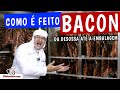 COMO É FEITO O BACON - da Desossa até a Embalagem - TvChurrasco