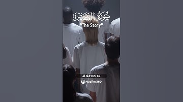 Surah Al-Qasas 62 | Hindi - Urdu Audio translation | سورة القصص #alqasas #hindi #urdu #islamdaily