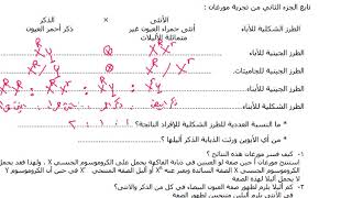 12- الصفات المرتبطة بالجنس جزء2