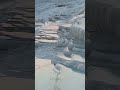 পামুক্কালে, তুরস্ক | pamukkale, Turkey | Beautiful World Bangla #pamukkale #turkey