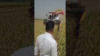 dhan kata machine ai || #shorts #funny #video #blog