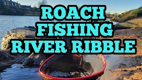 Coarse Fishing the River Ribble - Stick Float Basics - Dannys Angling Blog