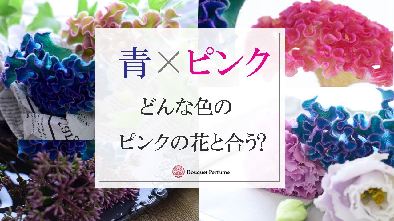 青 花合わせ ピンク色と花合わせ 青い花に合う色はどんなピンクか フラワーアレンジメント教室 横浜