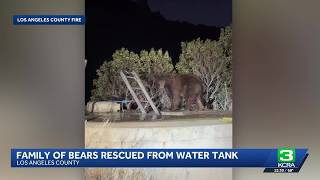 Firefighters rescue bear family from water tank in Los Angeles County