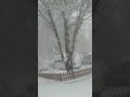 Yıllar sonra güzel kar Allah dahada güzel şeyler görmeyi nasip etsin like atıp abone olun