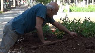 Bergenden Özgecana, Hilalden Haça Mersin Asri Mezarlığının Hüzünlü Hikayesi