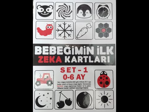 0-6 AY BEBEK ZEKA KARTLARI (MÜZİKLİ)