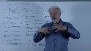 Choosing Attributes for a Perceptual Map