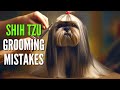 Top 11 shih tzu grooming mistakes every owner makes