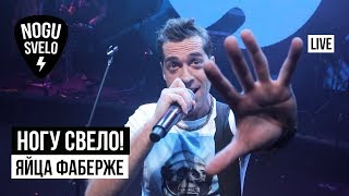 Video thumbnail of "Ногу Свело! - Яйца Фаберже (Live)"