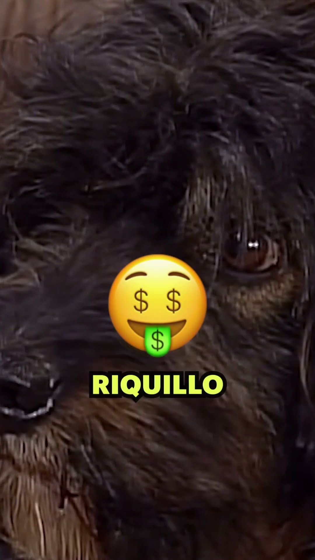 Como cuando te busca tu ex en San Valentín ? #Original