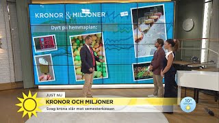 Svag krona slår mot semesterkassan - Nyhetsmorgon (TV4)