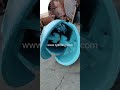Sell 800mm bored pile grab,800mm hammer grab used in piling and bored pile foundation work pile grab