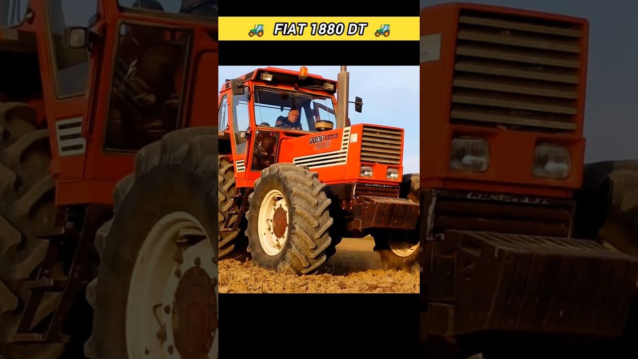 **FIAT 1880** Semina Grano - Trattore FIAT 1880 DT e seminatrice Fiona/Celli - Tractor 