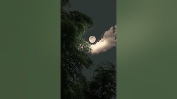 الشيخ خليل محمود الحصري (رب قد آتيتنى من الملك و علمتنى من تأويل الأحاديث ) سورة يوسف