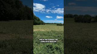 Rotational Grazing at SPC