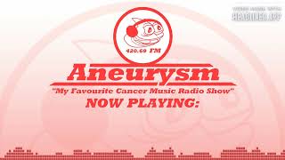 Aneurysm.fm 2 - Changing and Chatting