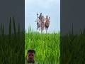 Creative Sawan ❤️🔱🕉️ Special Videography ideas #creative #shorts #shivji #sawanspecial