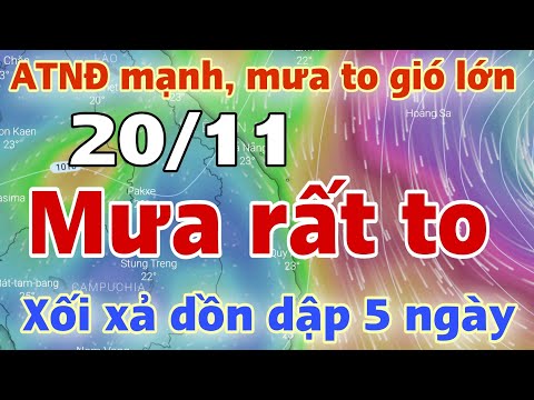 Video Dự báo thời tiết mới nhất ngày mai 20/11 | dự báo bão... - youtube