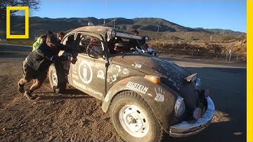 Racing 800 Miles in the Desert—in a VW Bug | National Geographic