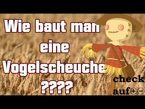 Wie baut man eine Vogelscheuche ? #4kidsdad