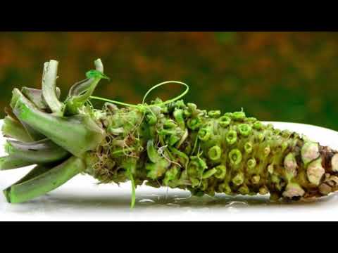 Video: Wasabi Nedir - Wasabi Sebze Kökü Kullanmanın İpuçları