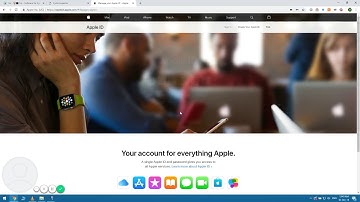 Iris for iOS - App Specific Password Bug iOS Iris Install