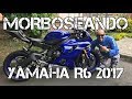 MORBOSEANDO YAMAHA R6 2017 #FULLGASS