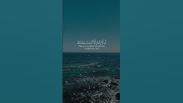 وذا النون إذ ذهب مغاضبًا من سورة الأنبياء بصوت الشيخ فارس عباد
