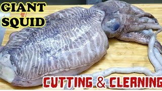 Cuttlefish Cutting &Cleaning How To Clean Giant Squid