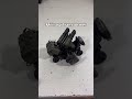 Military transformer car. #miniature #mechanical #collection #transformer